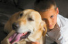 Sacramento Dog Training