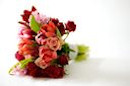 Sacramento Florists