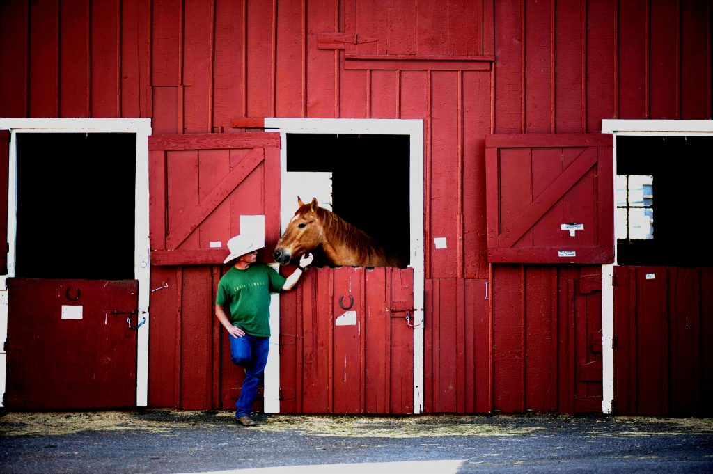 Sacramento Horse Boarding Directory 2023 Sacramento Top 10