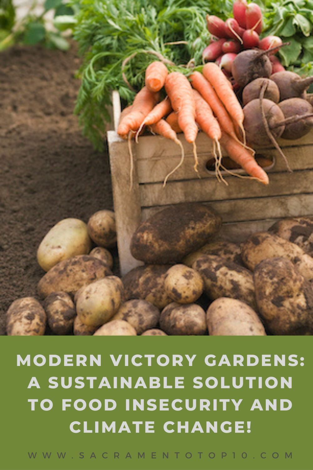 Modern Victory Gardens: A Sustainable Solution to Food Insecurity and Climate Change