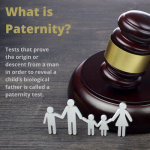 what is paternity - tests that prove the origin or descent from a man in order to reveal a child's biological father