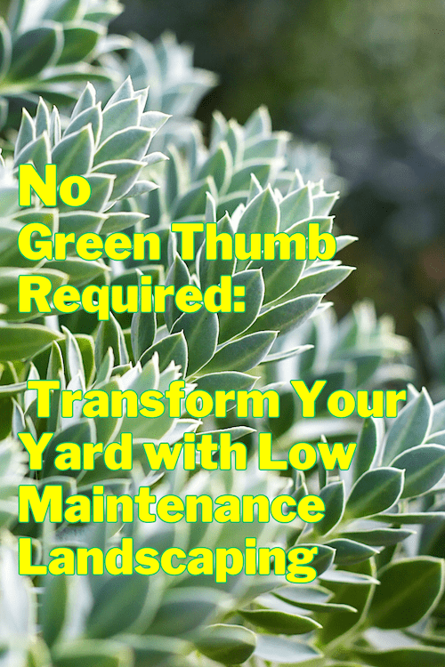 No Green Thumb Required: Transform Your Yard with Low Maintenance ...