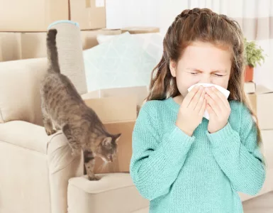 veterinarian tips for allergies