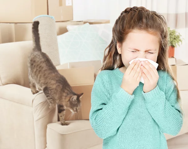 veterinarian tips for allergies