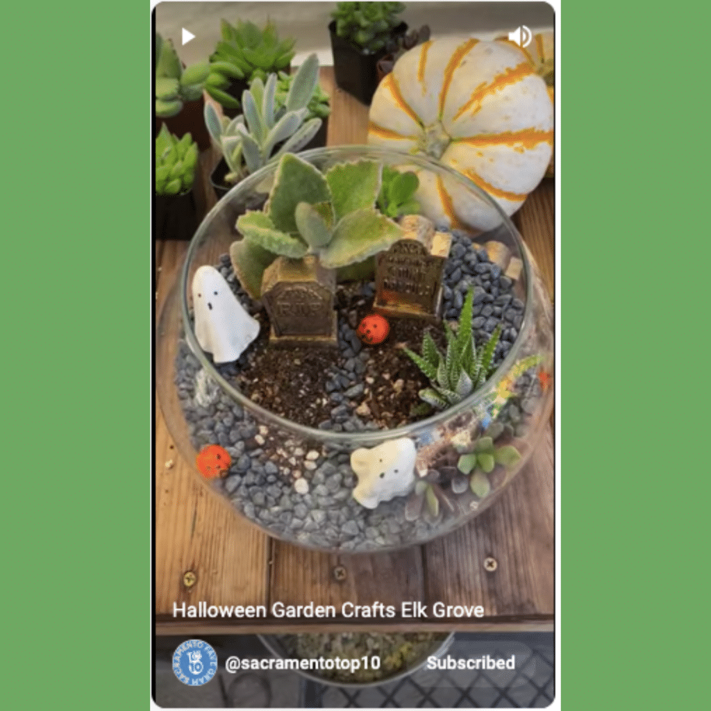 Secret Garden Elk Grove Sacramento Top 10