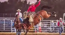 folsom pro rodeo