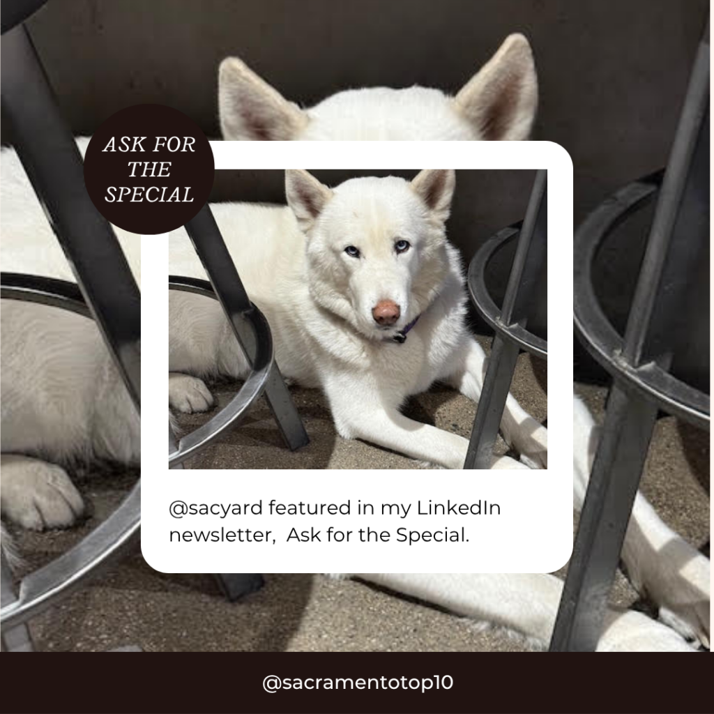 SacYard Community Tap House - where good dogs are always welcome