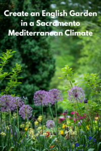 create an english garden in a sacramento mediterranean climate